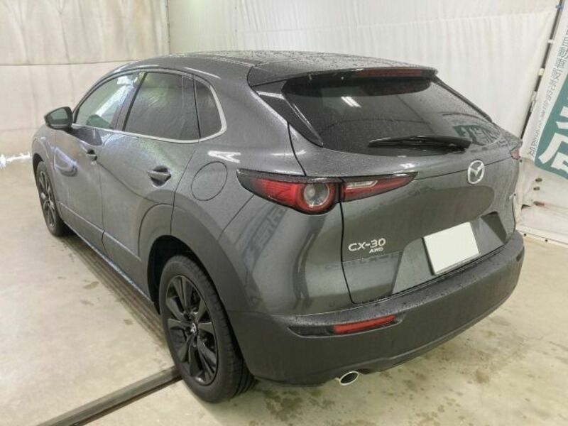 CX-30