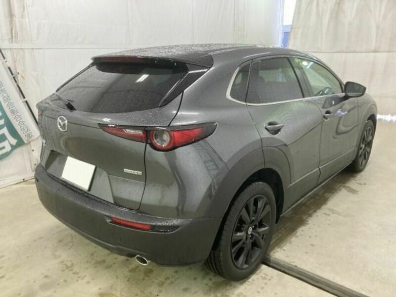 CX-30