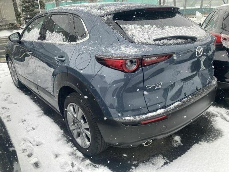 CX-30