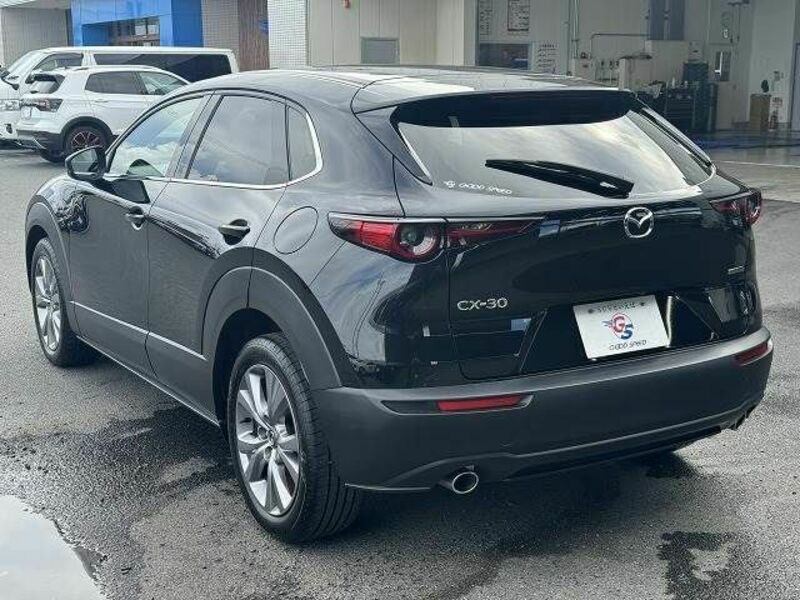 CX-30