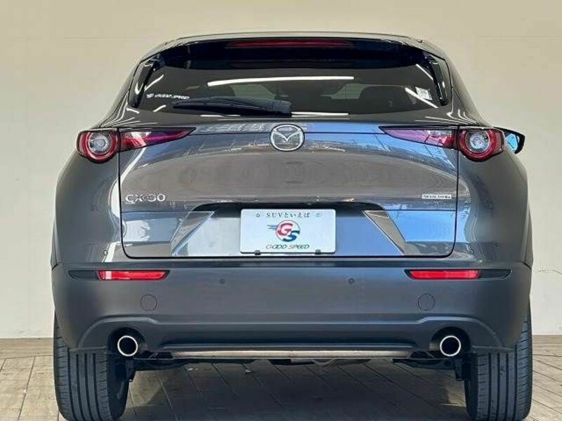 CX-30