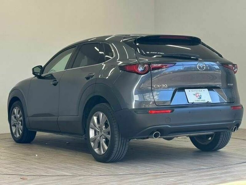 CX-30