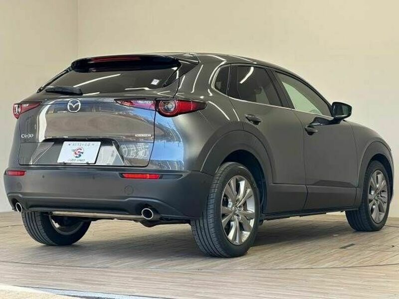 CX-30