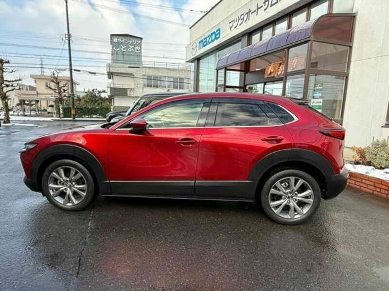 CX-30