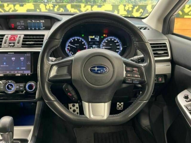 LEVORG