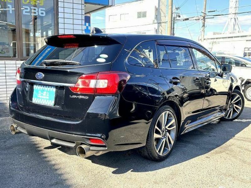 LEVORG