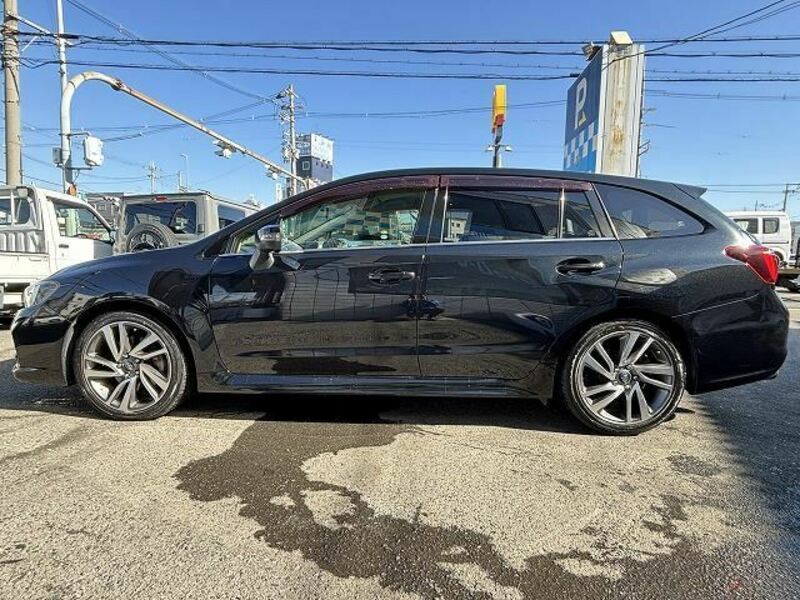 LEVORG