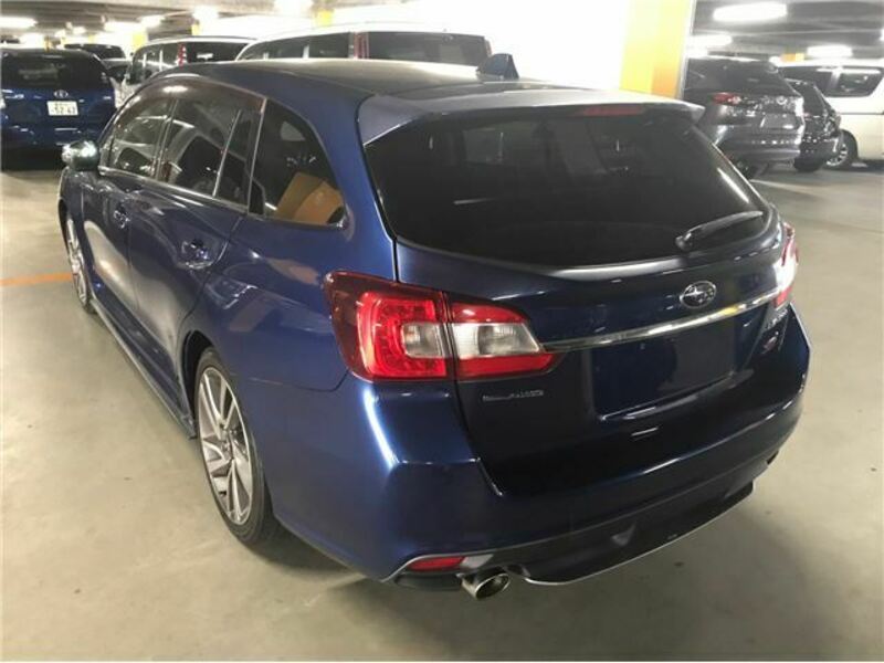 LEVORG