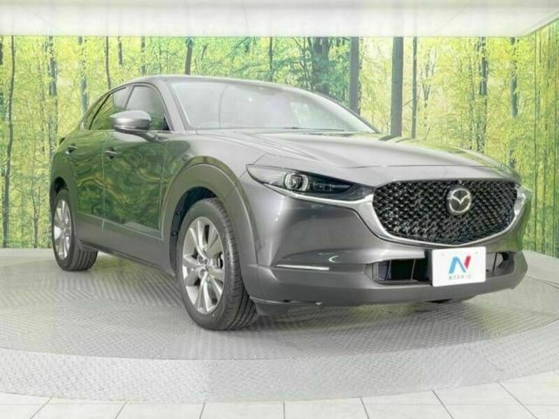 CX-30