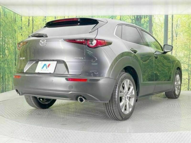 CX-30