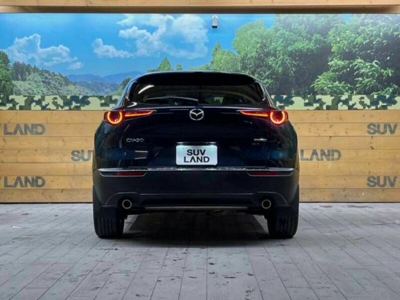 CX-30