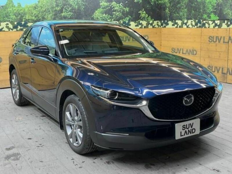 CX-30