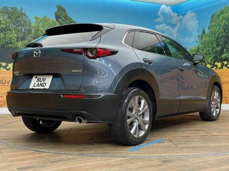 CX-30