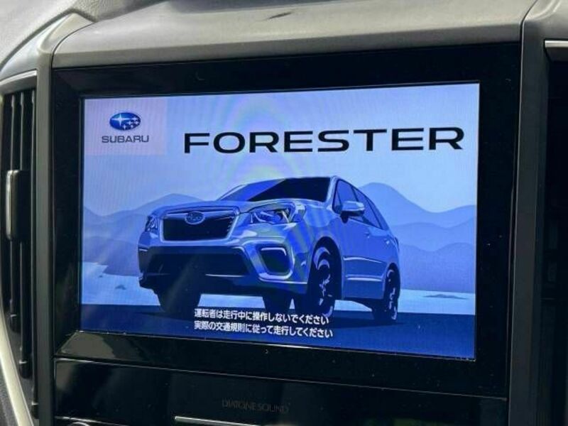 FORESTER