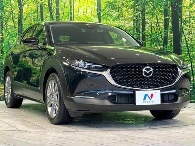 CX-30