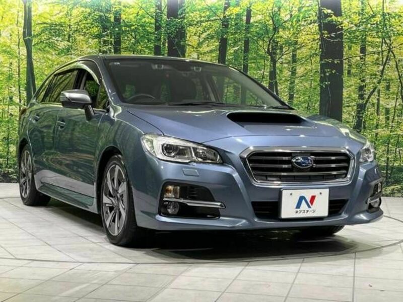 LEVORG