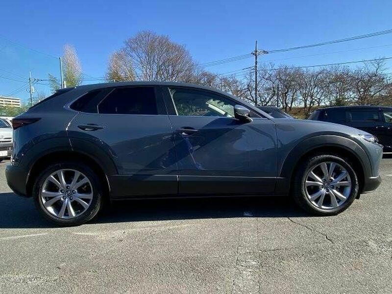 CX-30