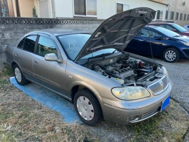 BLUEBIRD SYLPHY