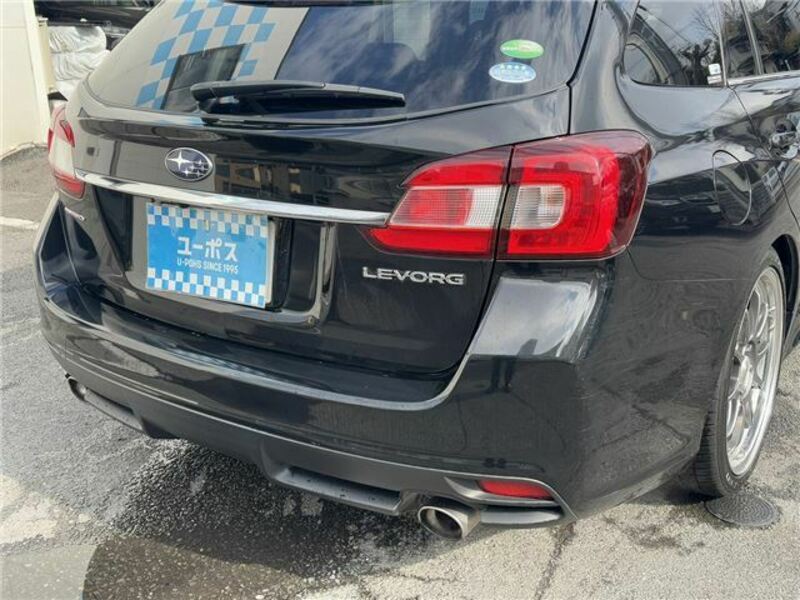 LEVORG