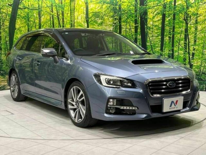 LEVORG