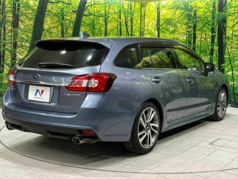 LEVORG