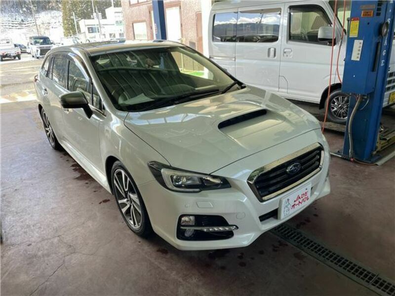 LEVORG-0