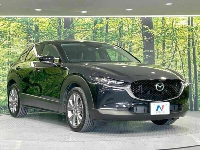 CX-30