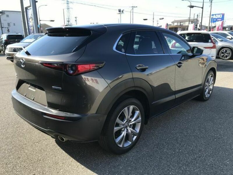 CX-30