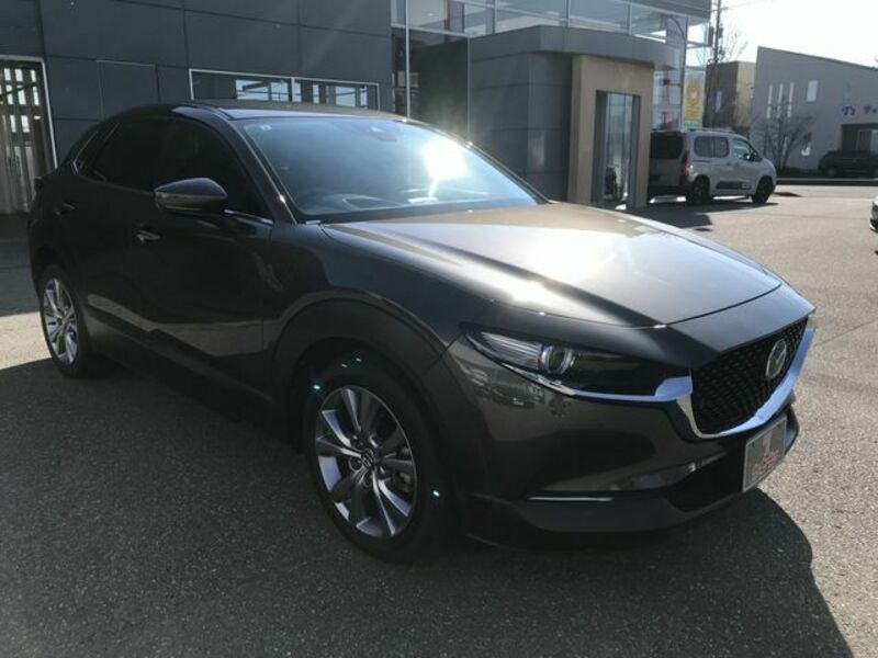 CX-30