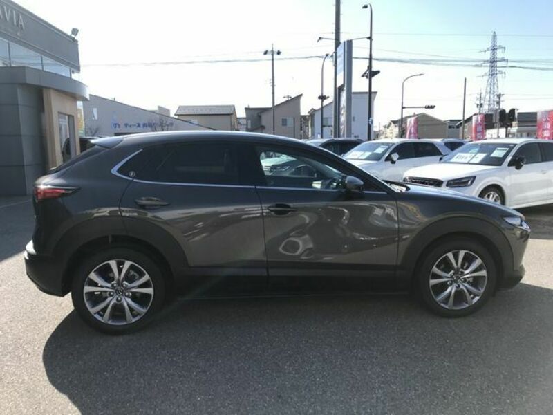 CX-30