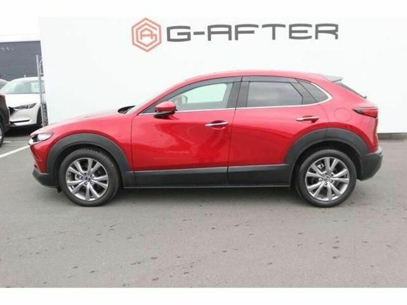 CX-30