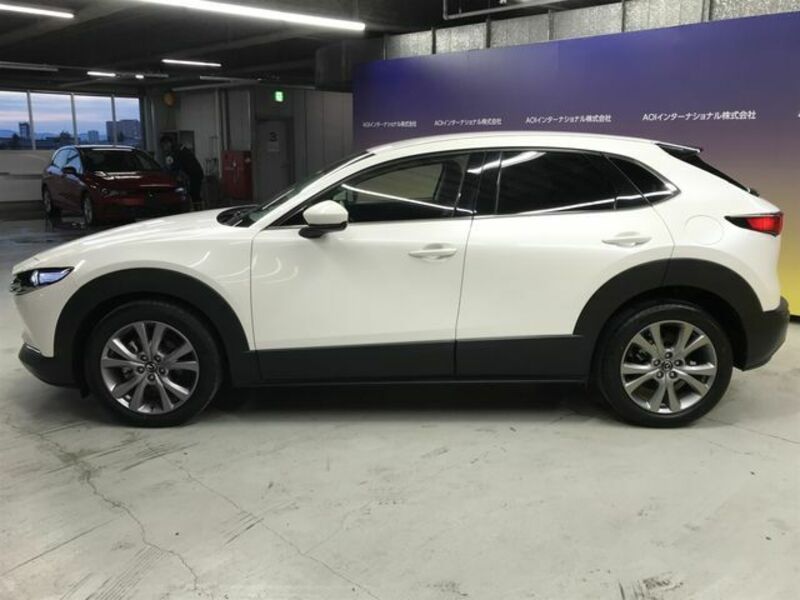 CX-30