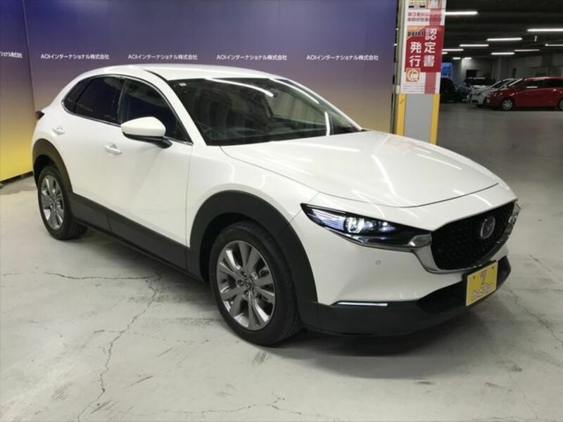 CX-30