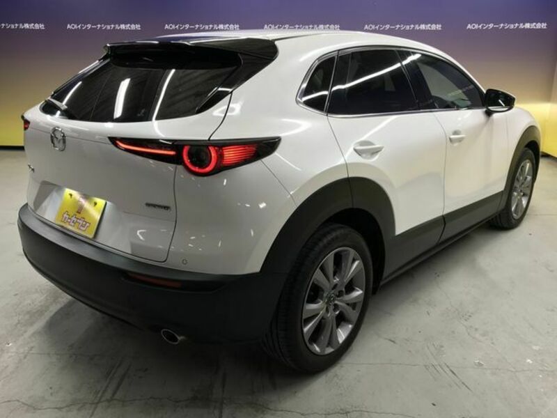 CX-30