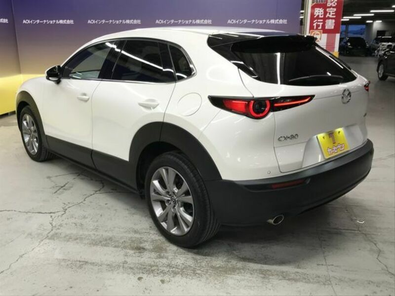 CX-30