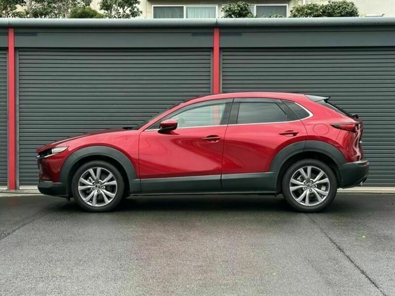 CX-30