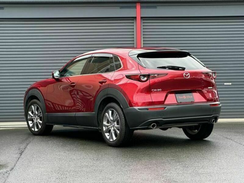 CX-30