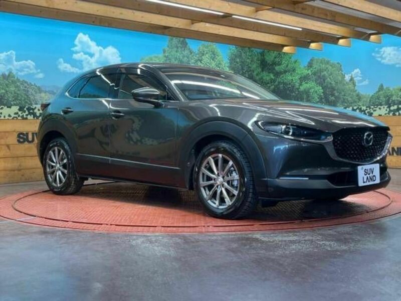 CX-30