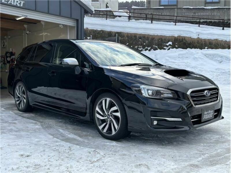 LEVORG