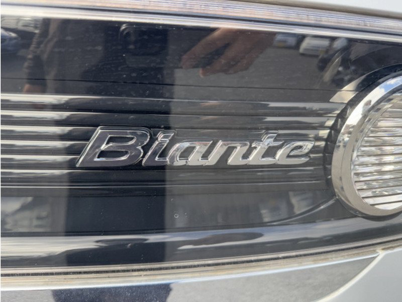 BIANTE