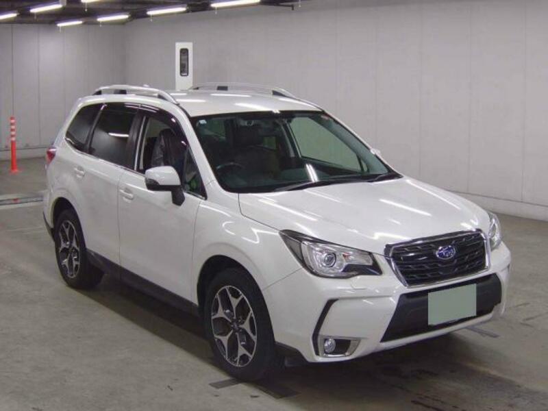 FORESTER