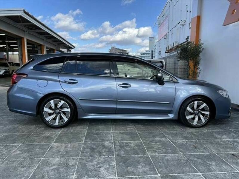 LEVORG