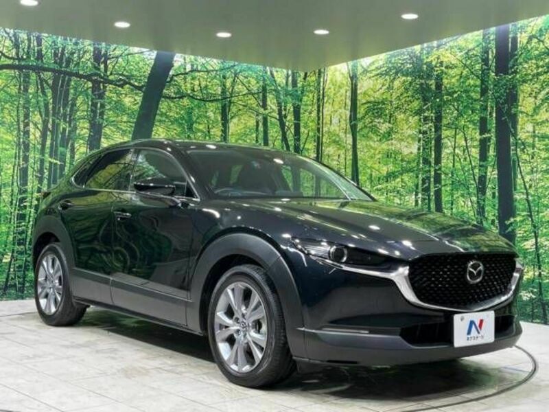 CX-30