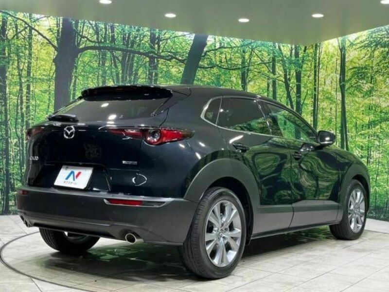 CX-30