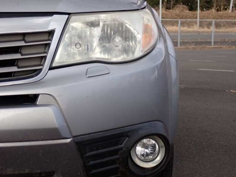 FORESTER
