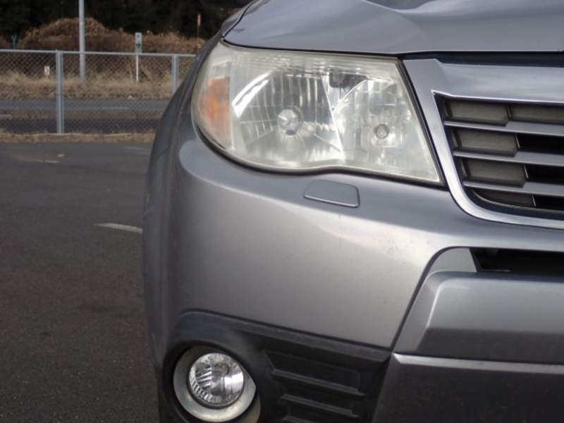FORESTER