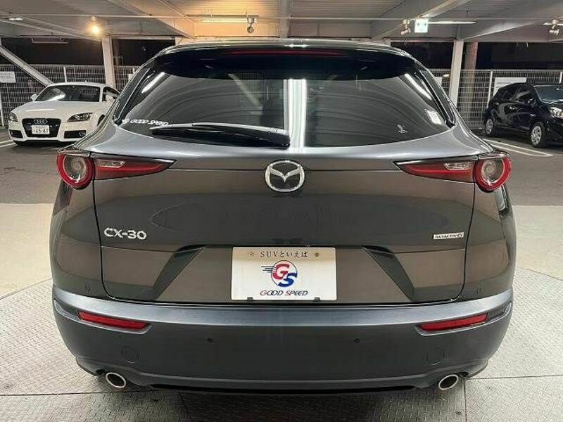 CX-30