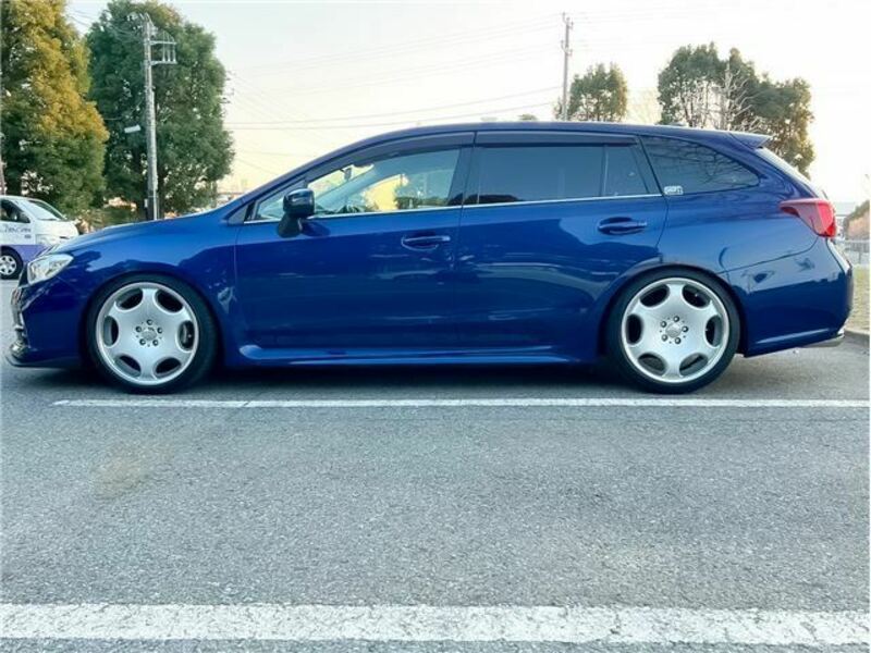 LEVORG