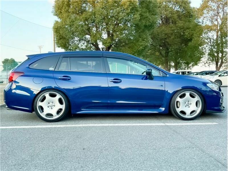 LEVORG