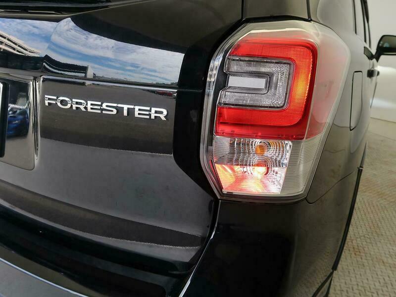 FORESTER